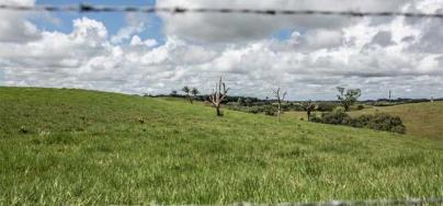 Colombia: Protección a defensoras de derechos agrarios, ambientales y territoriales 660x440