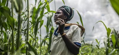 Fati Marmoussa en su campo de sorgo en Tafgo, Burkina Faso. La falta de lluvias y las largas sequías provocan que, durante algunos meses, Fati y sus hijos no tengan alimentos para comer y se vea obligada a vender los pocos animales que tiene.