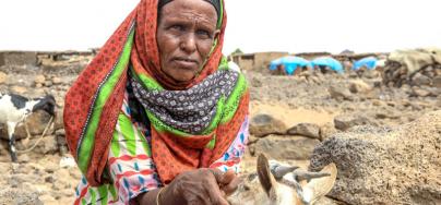 In Ethiopia, the government estimates that 10.2 million people will need humanitarian assistance in 2016.