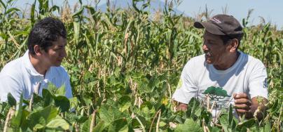 We are learning how to manage our crops better,” say farmers Malvin Ortiz and Felipe Martínez, “and we are teaching our children how to do it, too.” Now, the future is looking more hopeful.