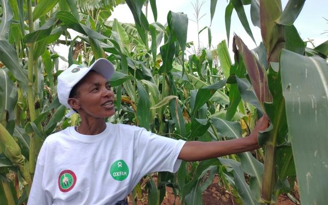 Clémence Nibaruta, alongside other smallholder farmers in Burundi, experiments and employs agroecological practices in order to improve their livelihood sustainably and to gain resilience against climate change. (Photo: Jana Schindler/Oxfam)