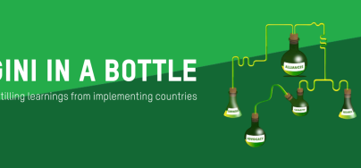 GINI in a Bottle