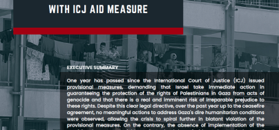 The Cost of Inaction and Impunity cover