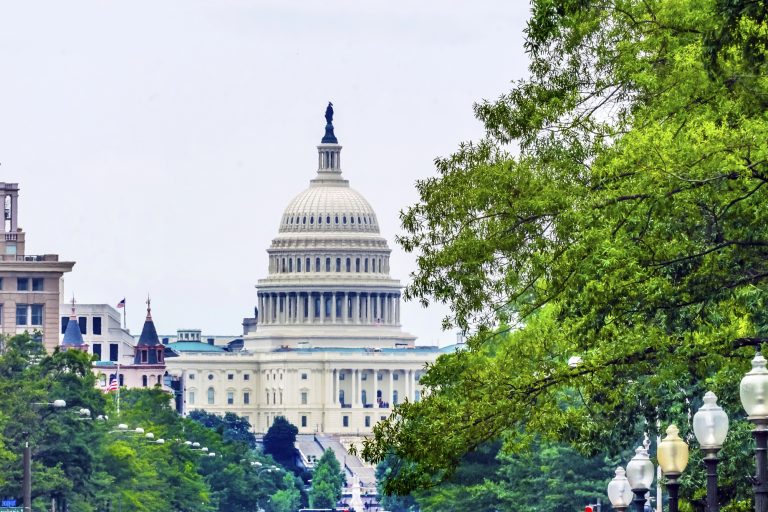 US Capitol Pennsylvania Avenue Summer Green Trees Washington DC