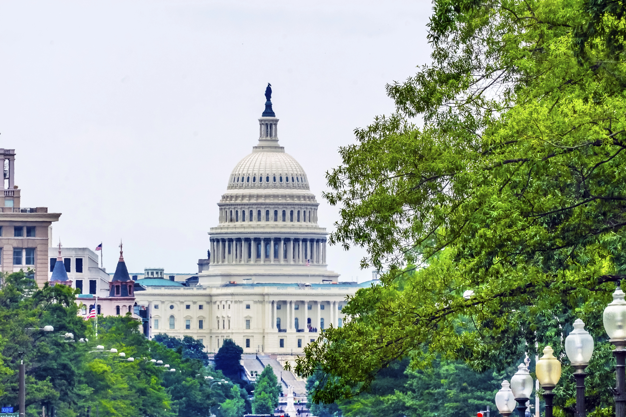 US Capitol Pennsylvania Avenue Summer Green Trees Washington DC